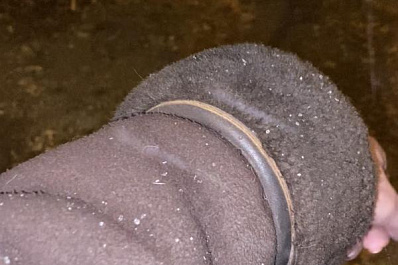 Первый снег в Самарской области выпал 4 ноября