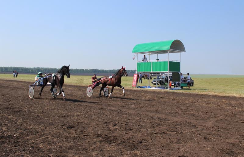 В Камышлинском районе провели Сабантуй