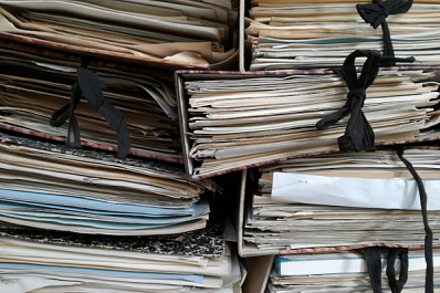 Жители Самарской области будут спасать деревья: дан старт экологической акции