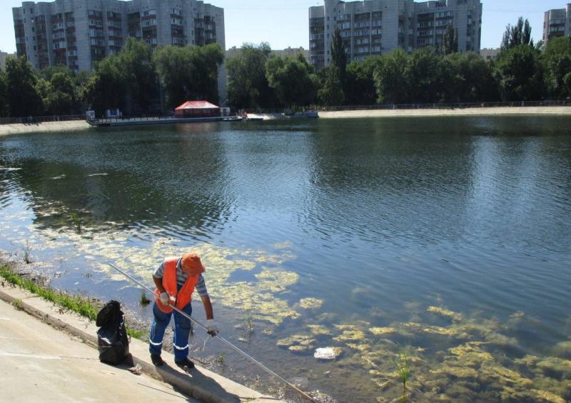 Утки и лебеди на месте: ЦУР Самарской области проверил состояние озера в парке Металлургов