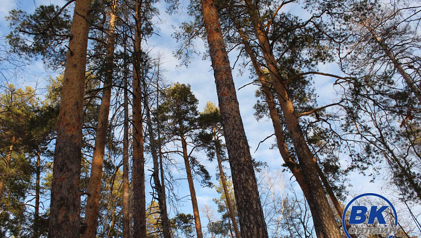 20 декабря в истории и архиве "ВК"