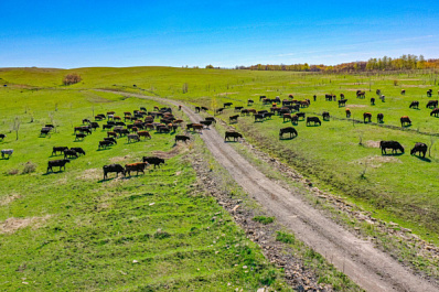 Народные приметы на 16 мая 2025 года: что нельзя делать в этот день