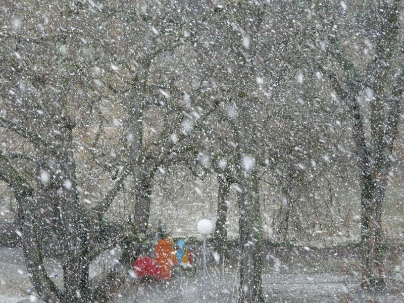 На Самарскую область 2 марта обрушатся снегопад, метель и сильный ветер