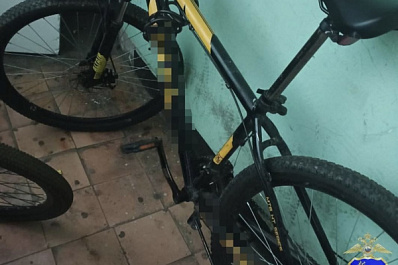 В Тольятти по фотографии нашли украденный велосипед