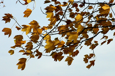 В Самарской области объявили штормовое предупреждение