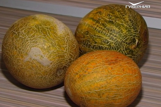 Дыня. Сохраняйте чек 