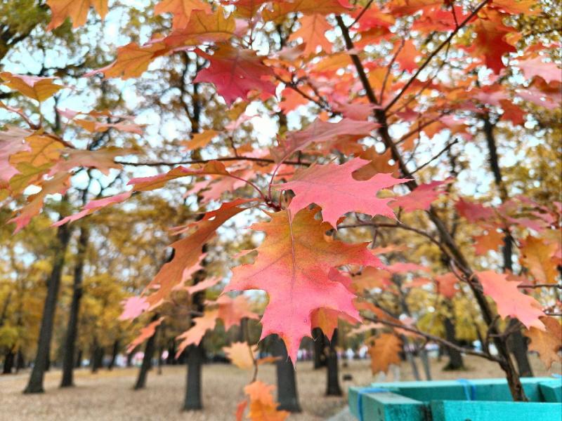 Народные приметы на 20 октября 2025 года: что нельзя делать в этот день