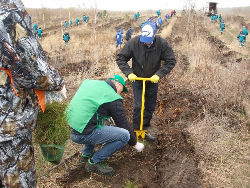 В Самарской области пройдут мероприятия всероссийского проекта "Посади лес"