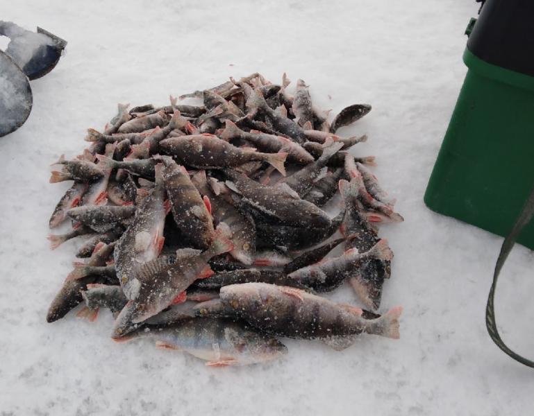 Рыбалка в экстремальных условиях: под Сызранью лунки замерзали за секунды