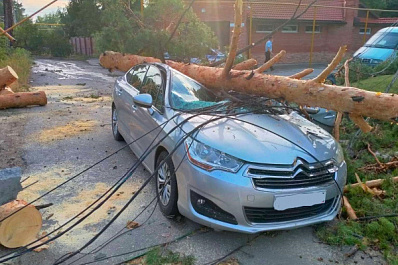 В Тольятти дерево раздавило едущий автомобиль: водителя увезли в больницу