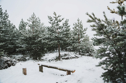 Название статьи