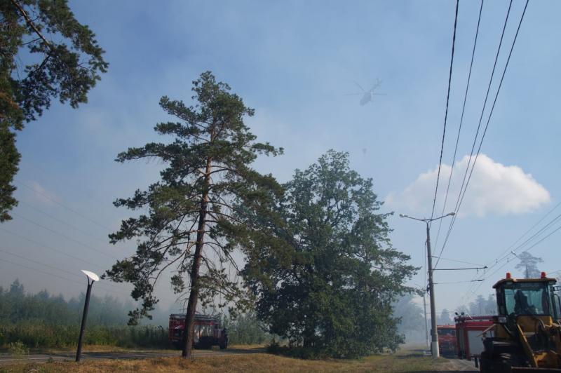 В Тольятти полностью ликвидировали крупный лесной пожар