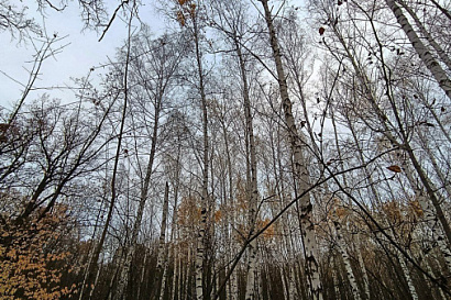 Название статьи