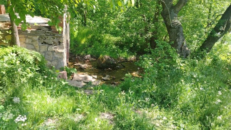 Волонтёры Исаклинского района взяли под свою защиту родник "Зеркальный"