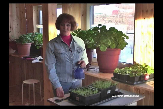 Дачные советы 21.02.2013