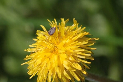 Название статьи