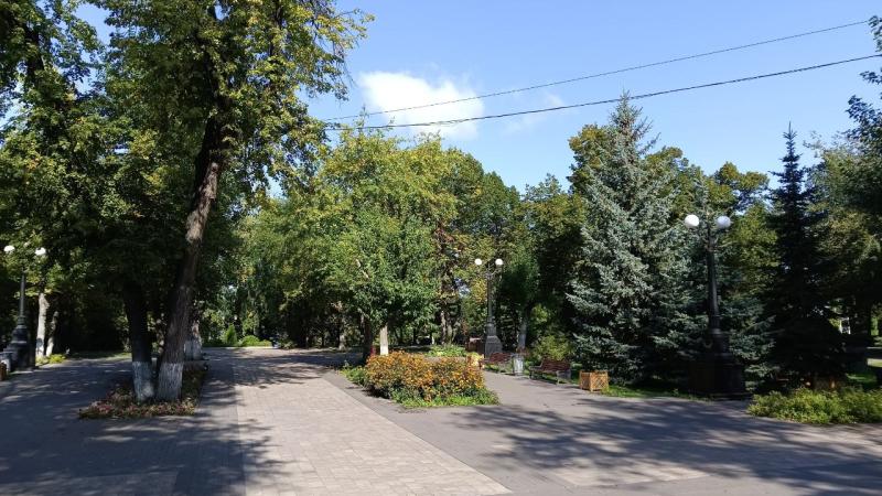 В Самарской области с начала сезона от клещей пострадал 2 741 человек