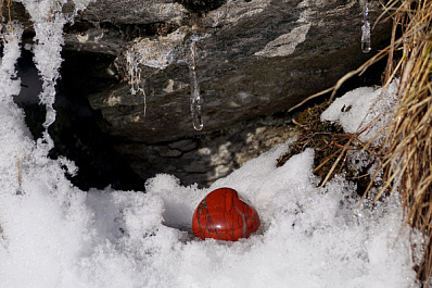 В Самарской области пройдет мокрый снег