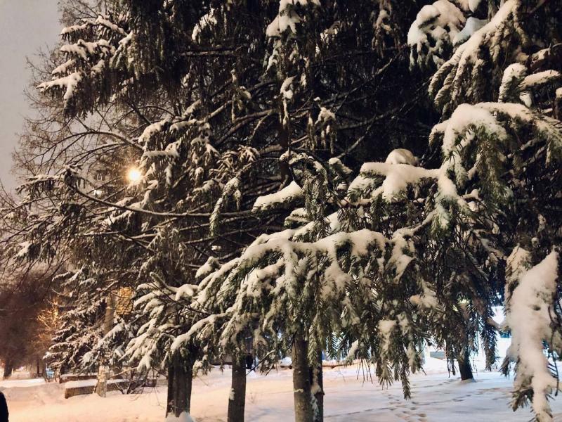 В Самарской области 1 декабря выпадет снег