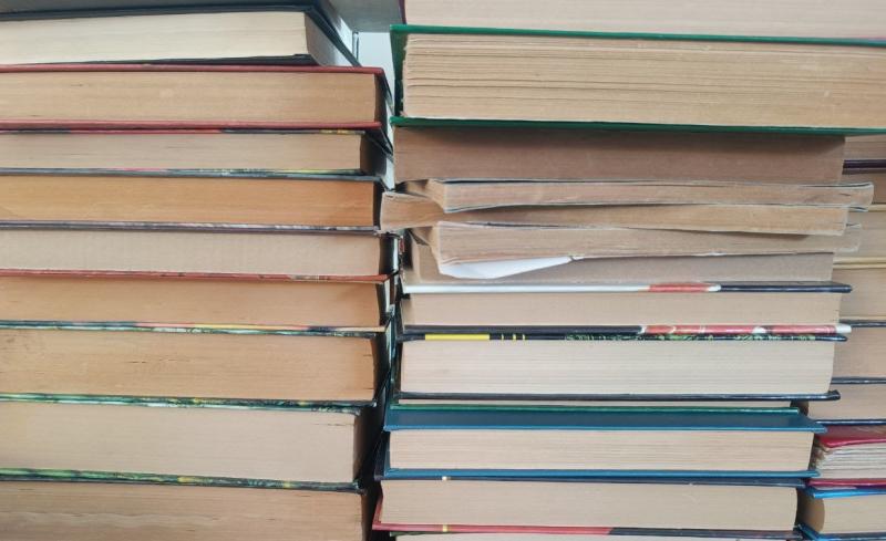 В Отрадном появилась уличная библиотека 