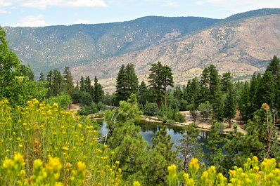 В Самаре бронирование мест в санаториях и детских лагерях временно остановлено