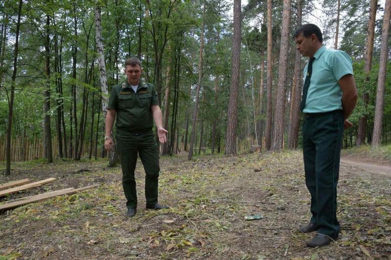 Дачники СНТ "Орленок" пытаются захватить земли лесного фонда