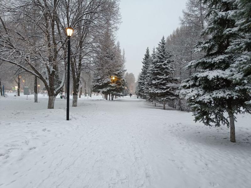 В Самарской области 21 декабря зафиксировали рекордную для зимы температуру 