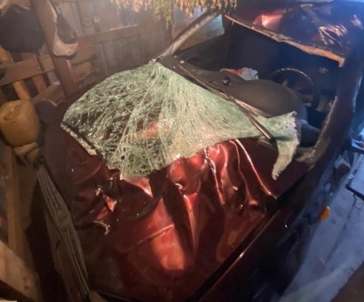 Житель Татарстана сбил лося в Самарской области