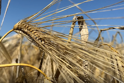 Название статьи