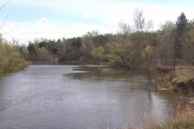 Красноярский район стал одним из антилидеров по количеству лесных пожаров в Самарской области