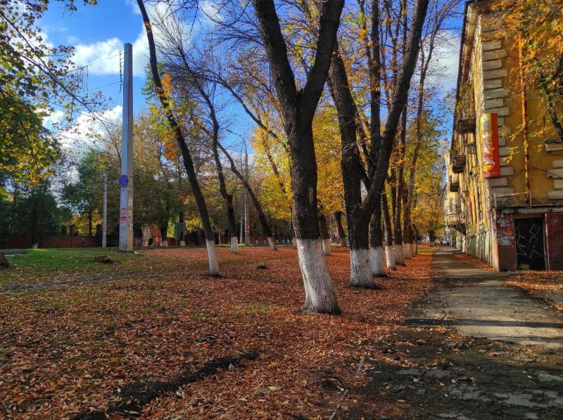 В выходные в Самарской области закончатся дожди и выглянет солнце