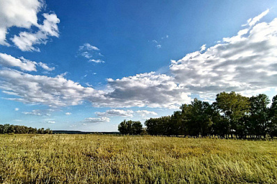 Стало известно, какая погода ждет Самарскую область на следующей неделе с 4 августа 