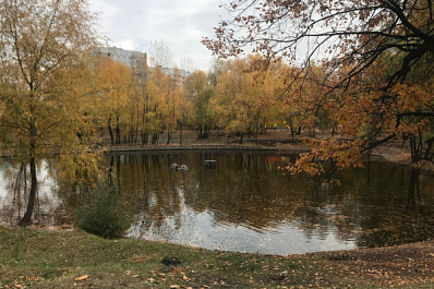 Психолог рассказала, как избавиться от осенней хандры