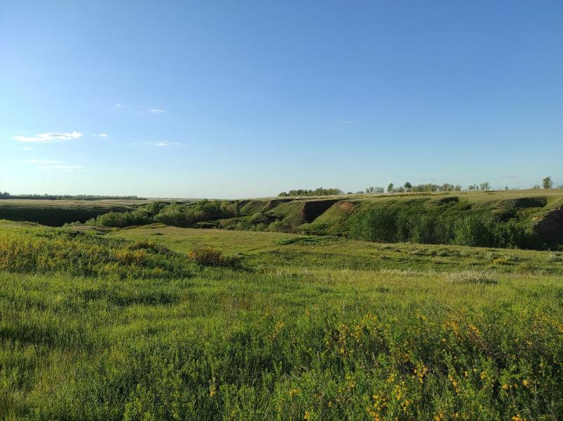 В Самарской области завершился сезон охоты на селезня