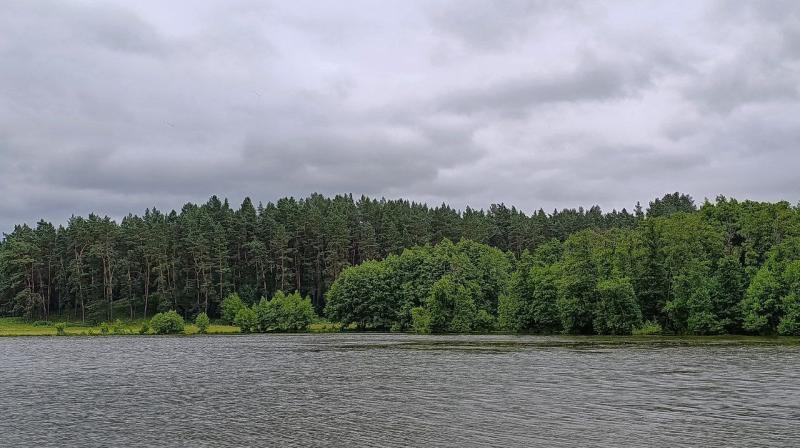 В Самарской области за выходные три раза спасли лес от огня