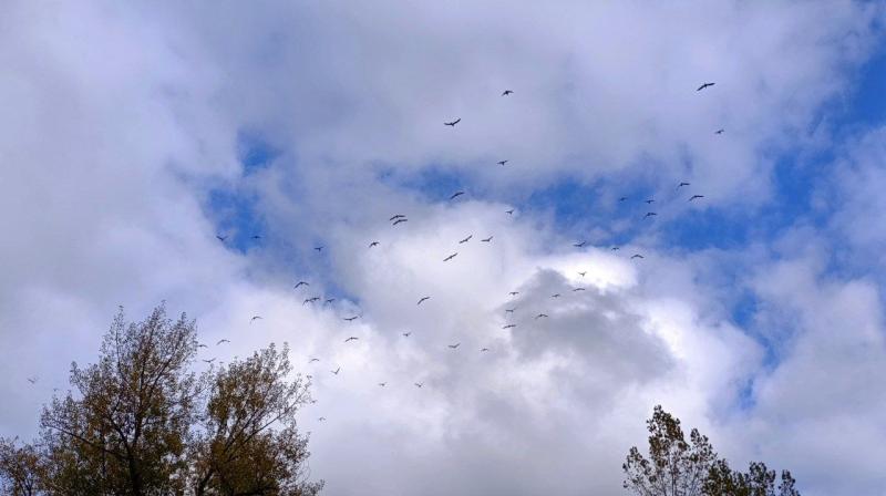 В Самарской области последние выходные октября пройдут без дождей