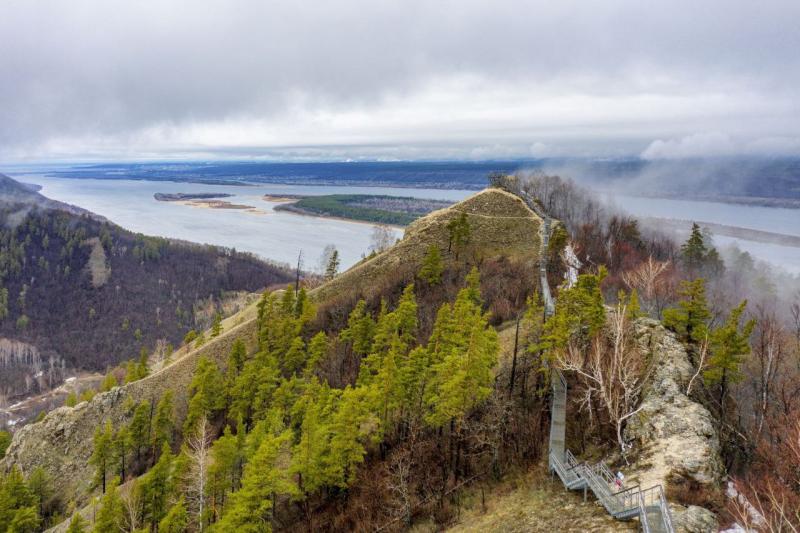 В Самарской области появились "грибы-подснежники"