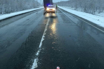 В Самарской области на трассе водитель насмерть сбил пешехода и скрылся
