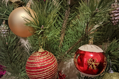 После праздников жители Самары и Тольятти могут сдать елку на переработку