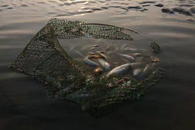 Весенние правила рыболовства вступили в силу в Самарской области