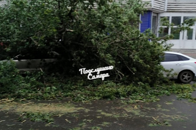В Самаре за сутки на 24 автомобиля упали деревья 