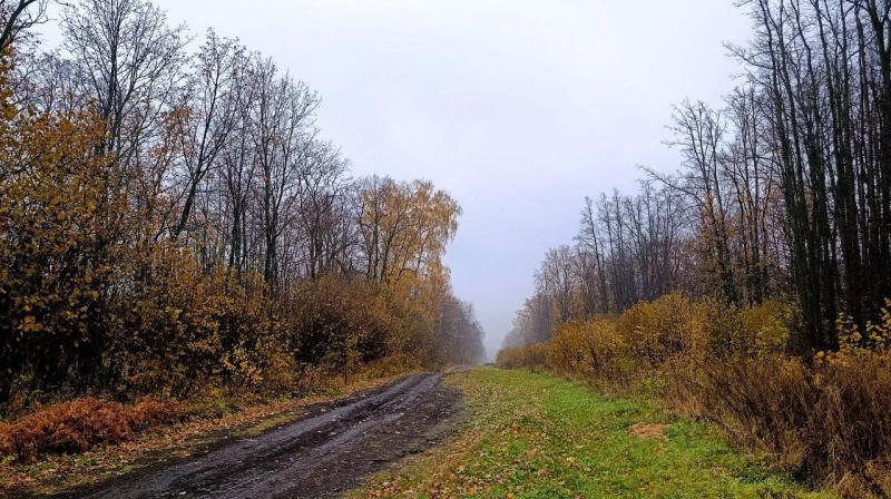 Самарцев предупредили о субботнем тумане