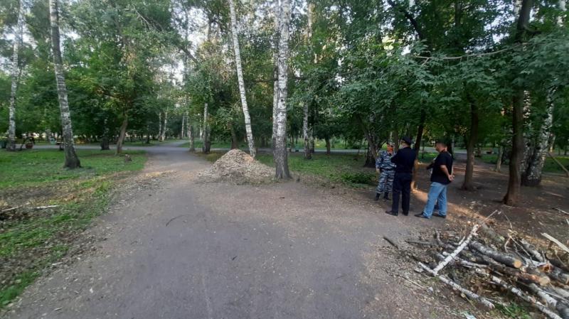 Дело о нападениях на женщин в Новосибирске передано в суд
