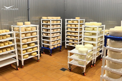 Французская порода и самое масштабное производство в РФ: в Тольятти варят сыр из овечьего молока, как в Древнем Риме 