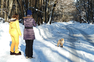 "Нужна обувь с хорошим зацепом": видеоблогер составил необычный маршрут для путешествия по Самарской Луке на один день