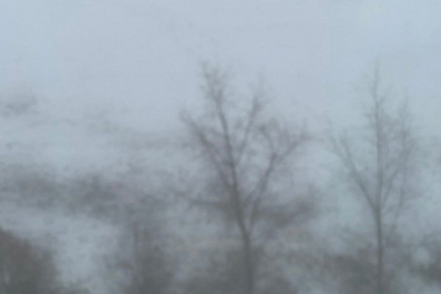 В ближайшие часы Самарскую область окутает густой туман