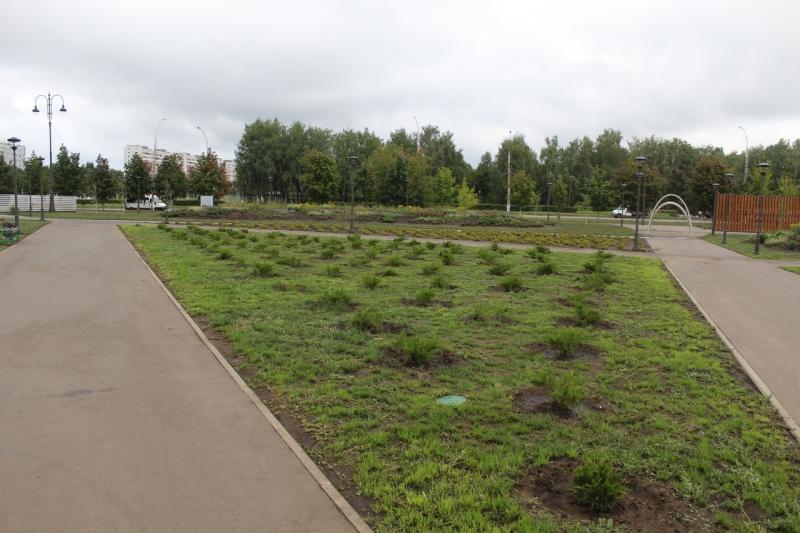 В Тольятти обещали навести порядок в новых скверах, построенных к юбилею АВТОВАЗа