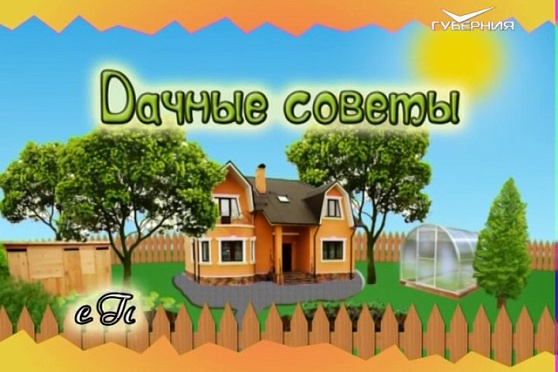 Дачные советы 04.05.2017. Высадка рассады