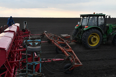 В Самарской области засеяли 56 тысяч гектаров яровых культур