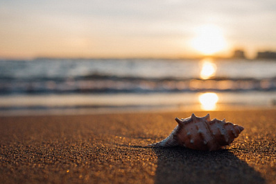 Горожан предупреждают не пить из Волги